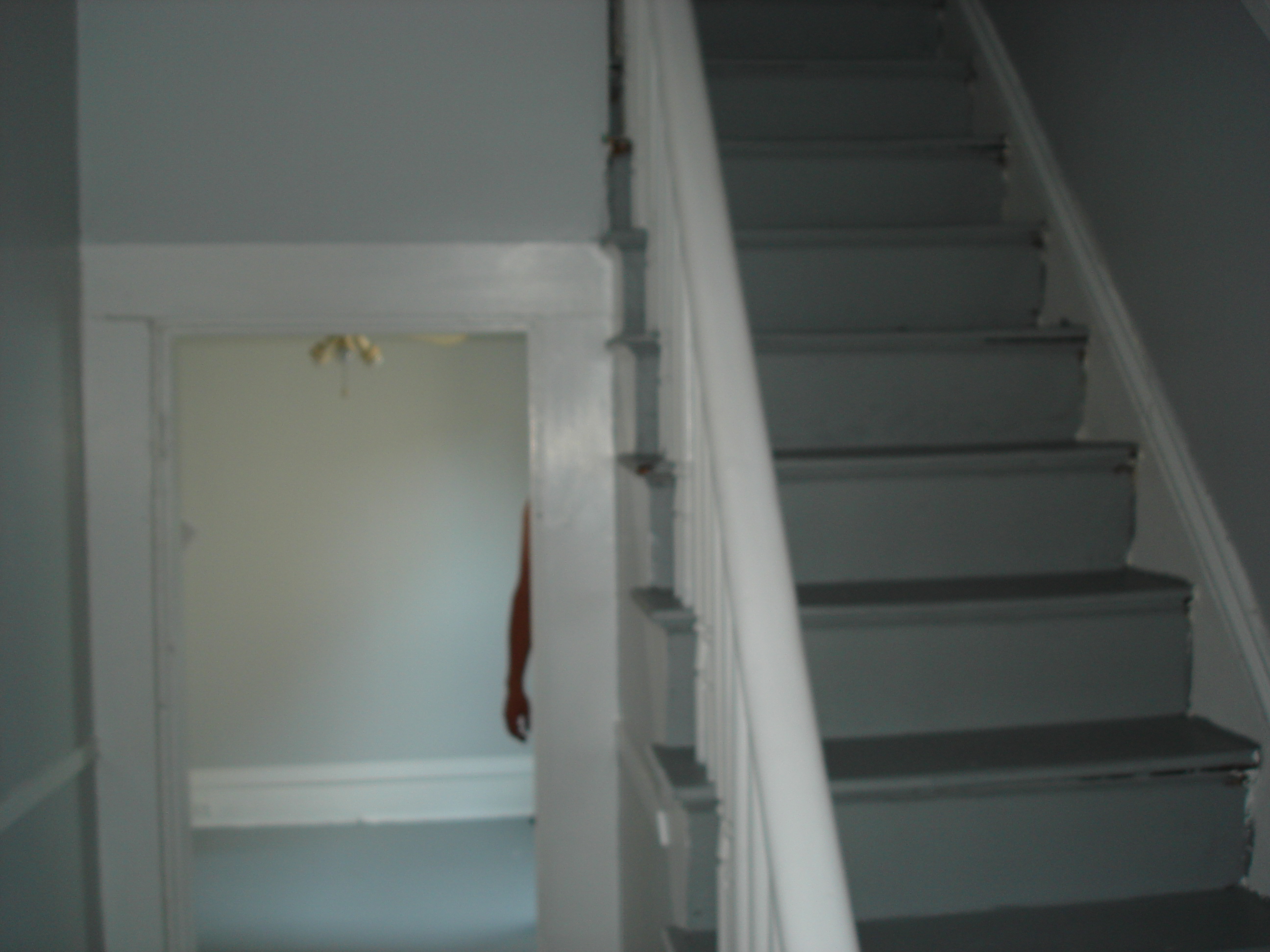 dsc02133.jpg