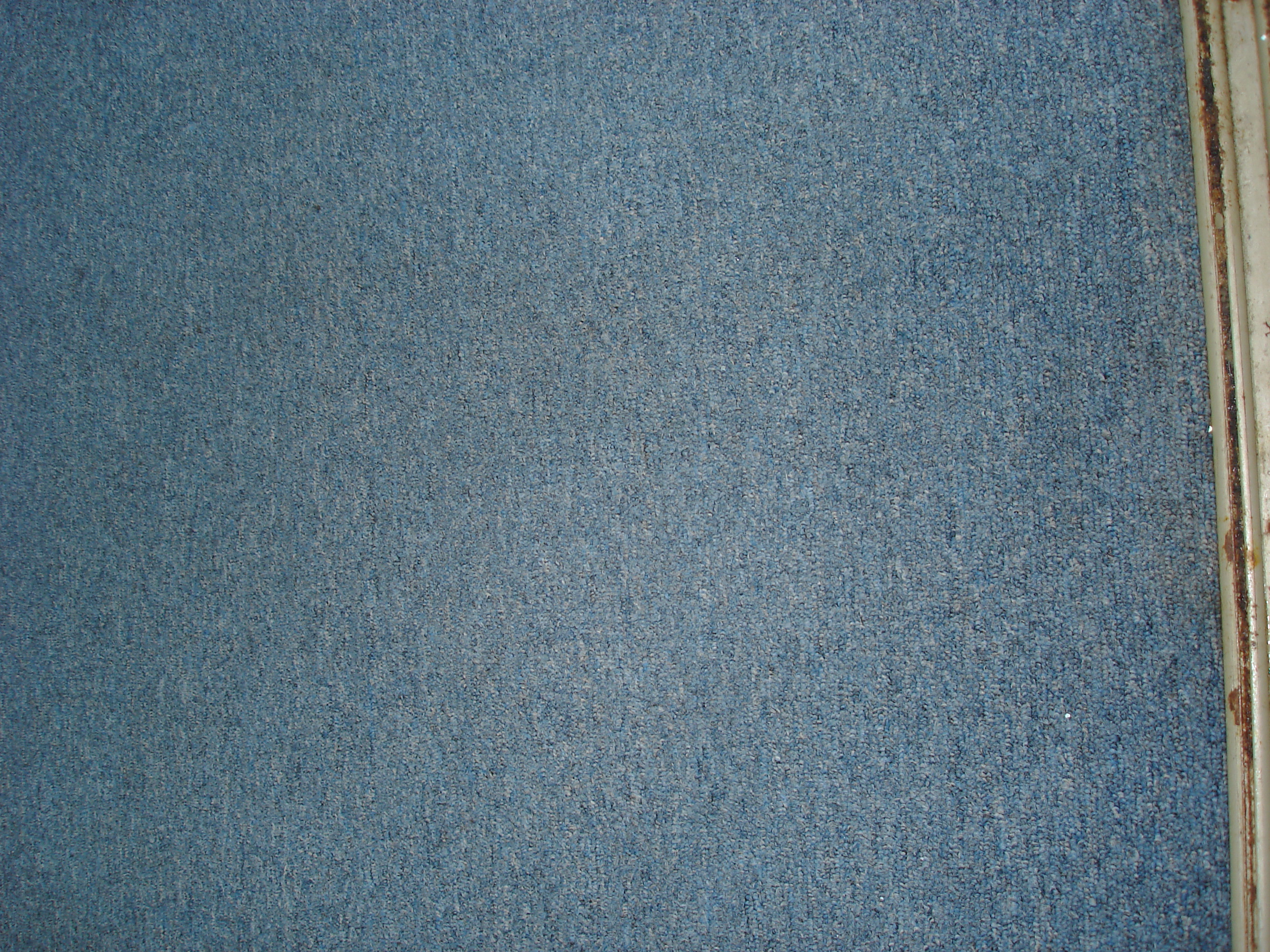 DSC03131.JPG