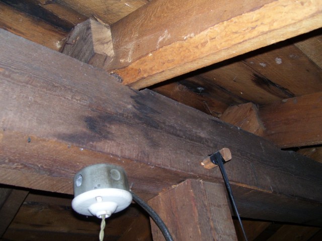 100_1918.jpg