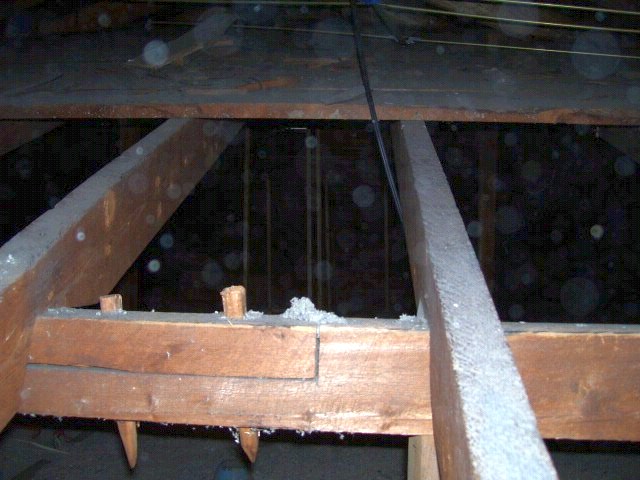 100_1931.jpg