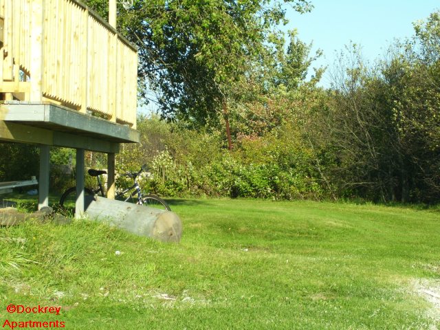 100_2309.jpg