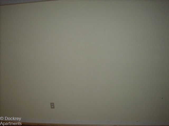 dsci2870.jpg