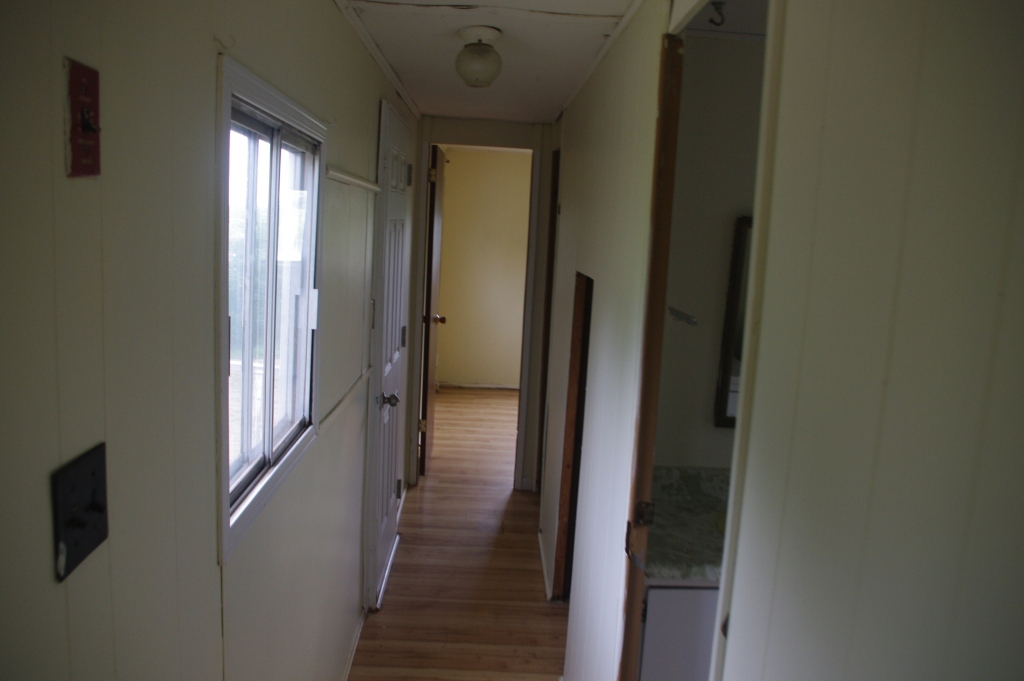 IMGP6580.JPG